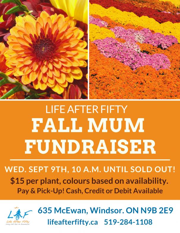 Fall Mum Fundraiser